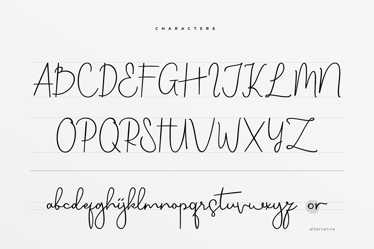 Sjover Handwritten Script Font, a Script Font by infernostudio3 (Photo 10 of 10)