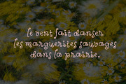 Wildflower Garden | Whimsical Font, a Handwritten Font by type peace (Thumbnail 7 of 14)