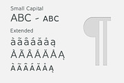 Inprimis - New Sans Serif typefamily, a Sans Serif Font by Bellini studio (Thumbnail 6 of 9)