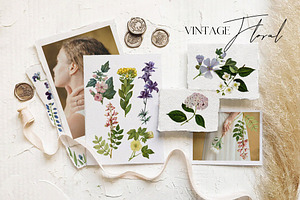 Tender Botany - Vintage Set