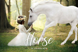 Unicorn Overlay