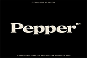 The Diverse Font Bundle, a Sans Serif Font by Bnick (Thumbnail 26 of 34)