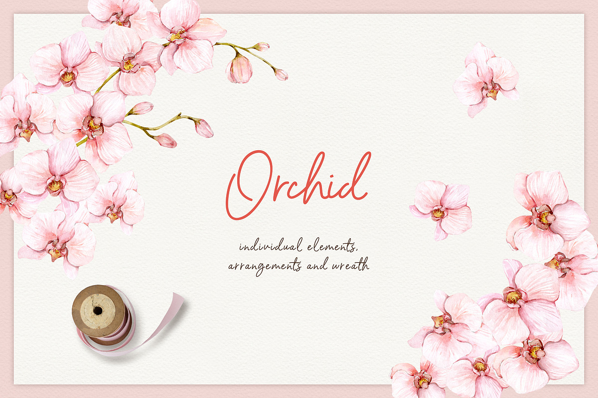 Spring flowers - watercolor clipart, a Decorative Illustration by long summer (Photo 4 of 7)