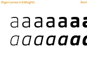Orgon, a Sans Serif Font by Hoftype (Thumbnail 11 of 18)