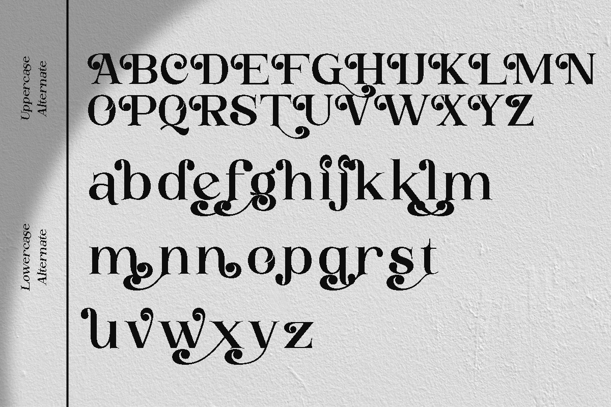 Buckbrush | Elegant Playful Serif, a Serif Font by anOra.std (Photo 10 of 12)