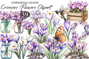 Watercolor Crocuses Flowers ClipArt, an Illustration by designcity5 (Thumbnail 1 of 5)