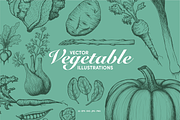 Hand-Drawn Vegetable Illustrations, a Food Illustration by BenDesigner (Thumbnail 1 of 6)
