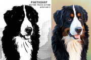 Photoshop Vector Trace Action, an Action Add-On by MRI STUDIO (Thumbnail 6 of 8)