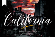 Beautiful Font Bundles Collections, a Script Font by Scratchones (Thumbnail 16 of 24)