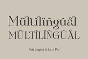Cigra - Stylist Serif With Ligature, a Sans Serif Font by Identy Studio (Thumbnail 6 of 18)