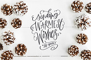 A Handlettered Christmas, a Decorative Illustration by Nicky Laatz (Thumbnail 12 of 18)