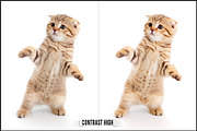 Ricoh Image Controls & Creative Mode, a Plug-in Add-On by Raztrend (Thumbnail 29 of 31)