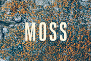16 Moss Photo Textures preview 2