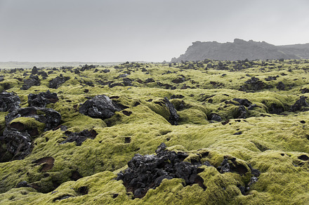 Icelandic Moss And Dark Lava Rocks preview 6