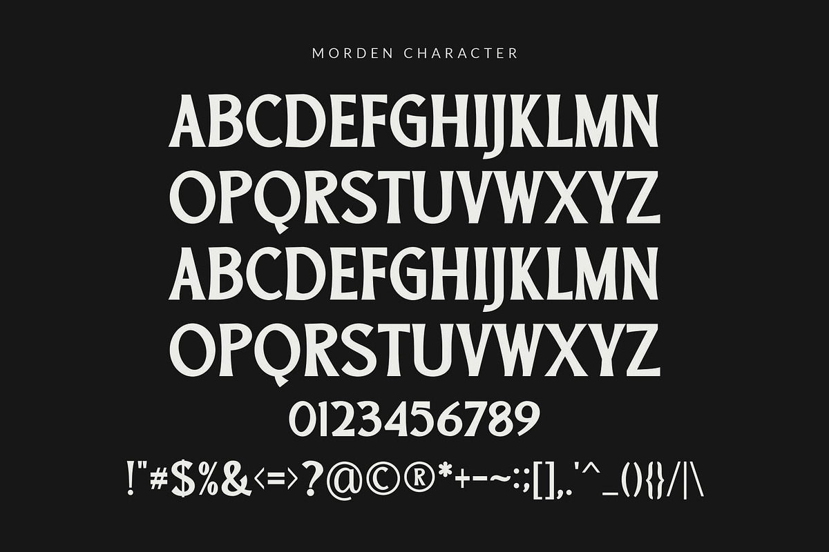 Morden || vintage serif, a Serif Font by ToniStudio (Photo 6 of 6)