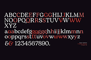 Bogart - 28 fonts, a Serif Font by Zetafonts (Thumbnail 6 of 16)