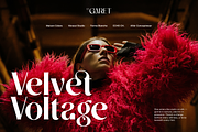 DT Garet – Luxury Serif Typeface, a Font by Diztinct Type (Thumbnail 11 of 12)