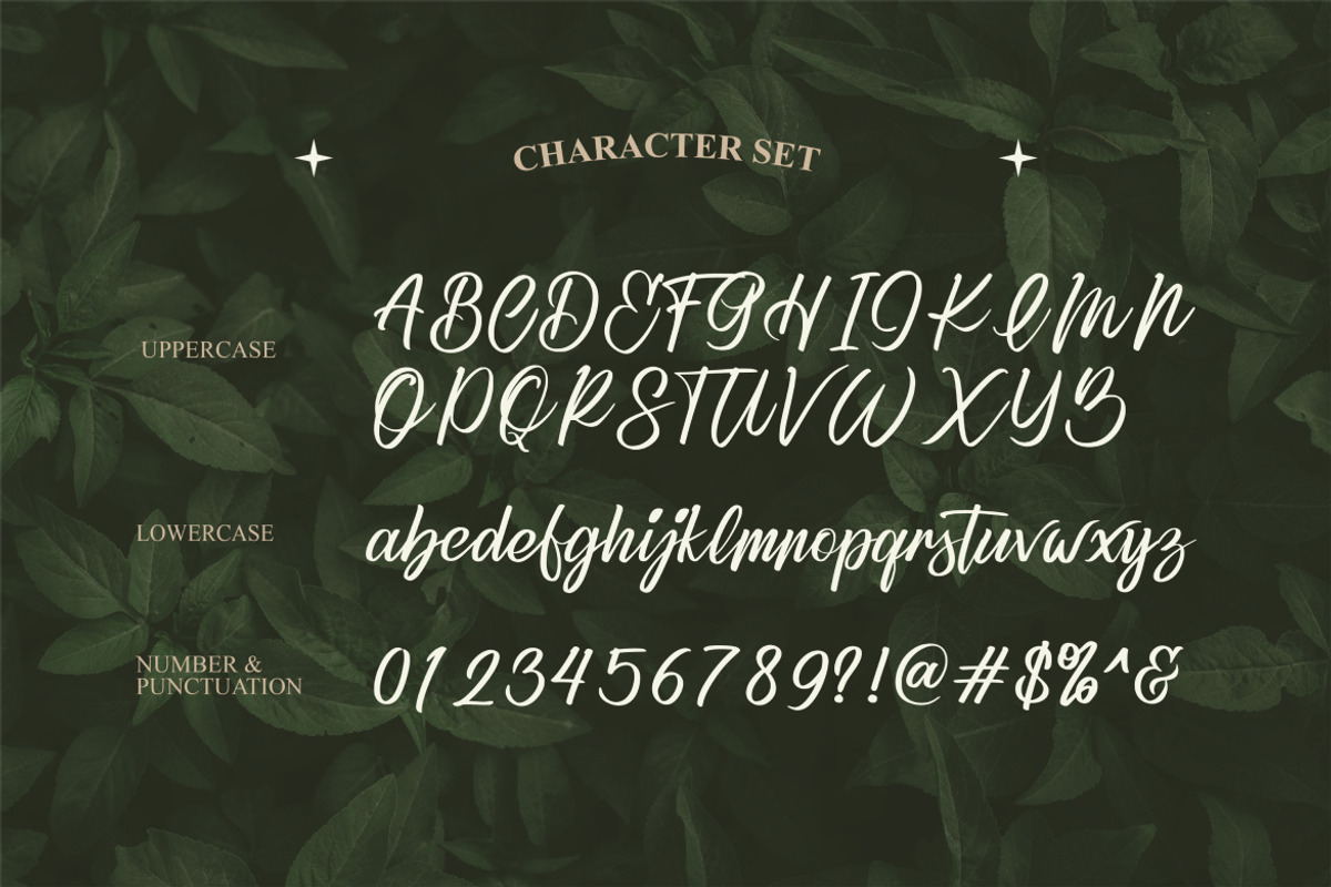 Refany Script Elegance Font, a Script Font by Catalystco Studio (Photo 2 of 7)