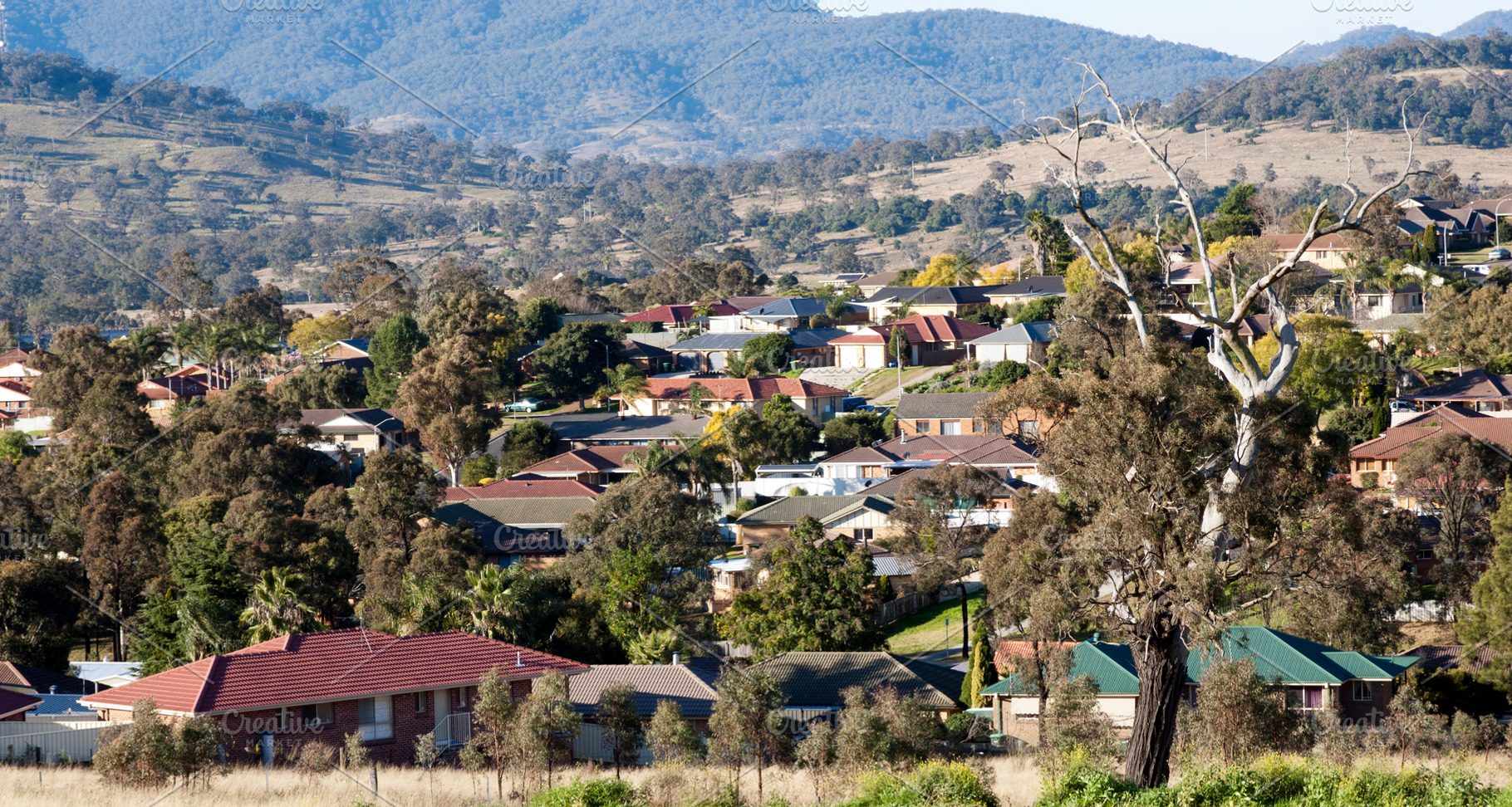 Australian Housing Landscape, an Architecture Photo by THP Creative