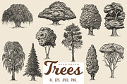 Trees, an Illustration by CGterminal (Thumbnail 1 of 3)