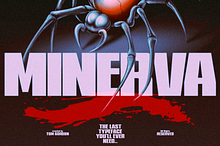 Minerva Sans Serif Display Font