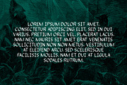 Srg-Beast of guilt display typeface, a Sans Serif Font by Srg® (Thumbnail 4 of 11)