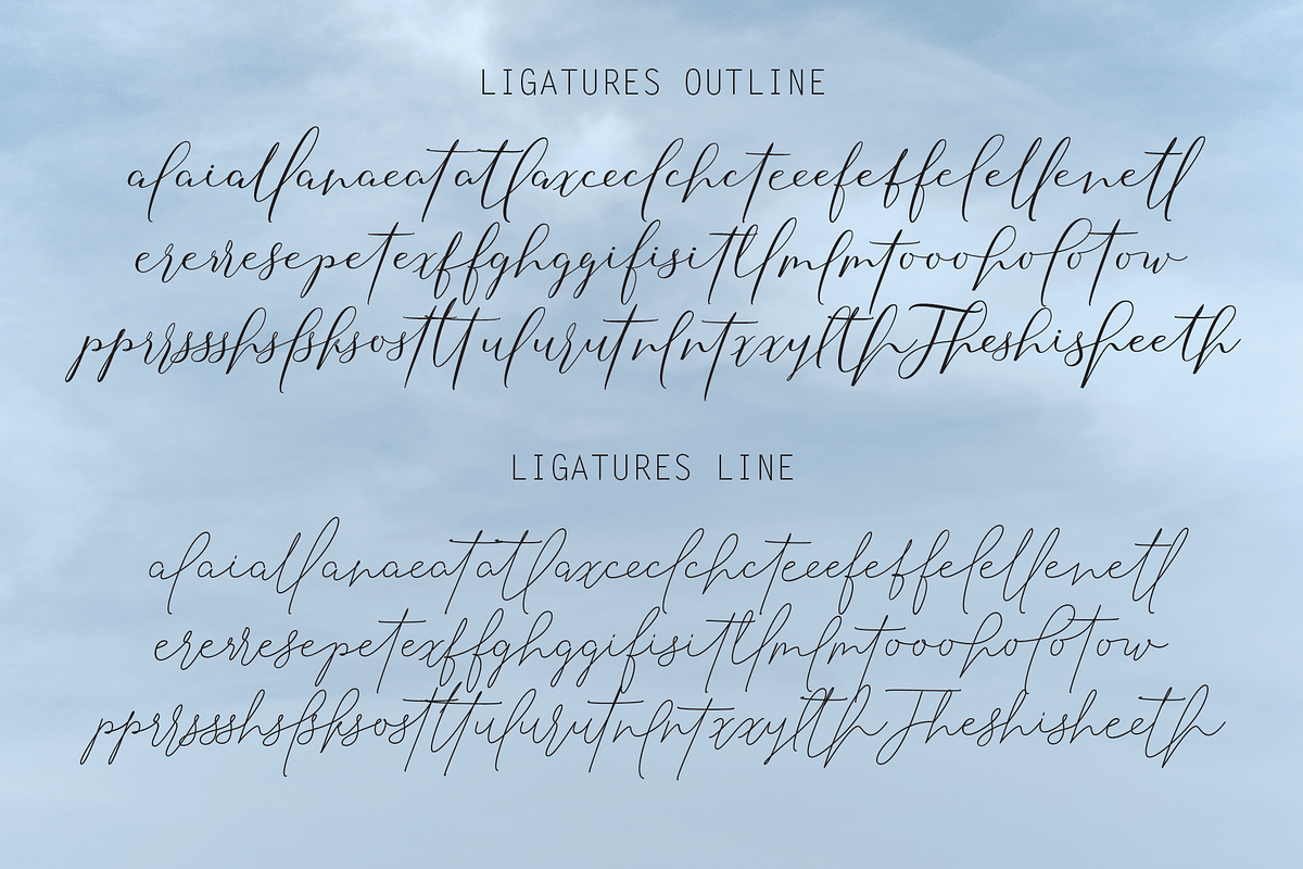 Selvia Font Duo preview 5