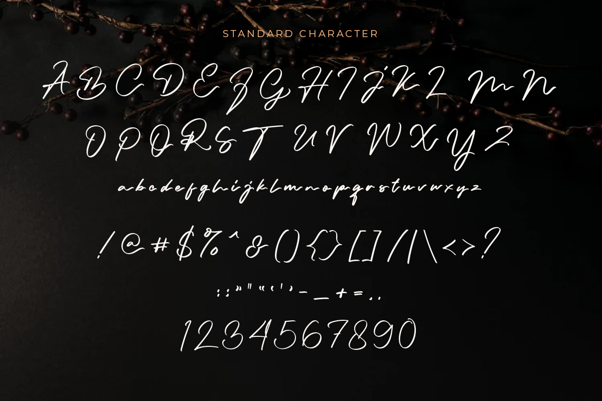 Hanney - Classy Script Font, a Script Font by Prestigetype (Photo 7 of 7)