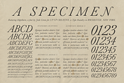 Edgethorn Italic Serif Font, a Serif Font by Up Up Creative (Thumbnail 2 of 17)