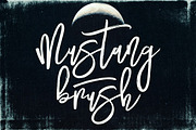 Mustang Brush Font, a Script Font by Cruzine (Thumbnail 9 of 9)