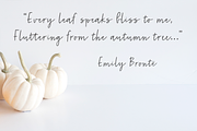 Harvest Grey, a Script Font by Lone Star Lettering (Thumbnail 7 of 10)