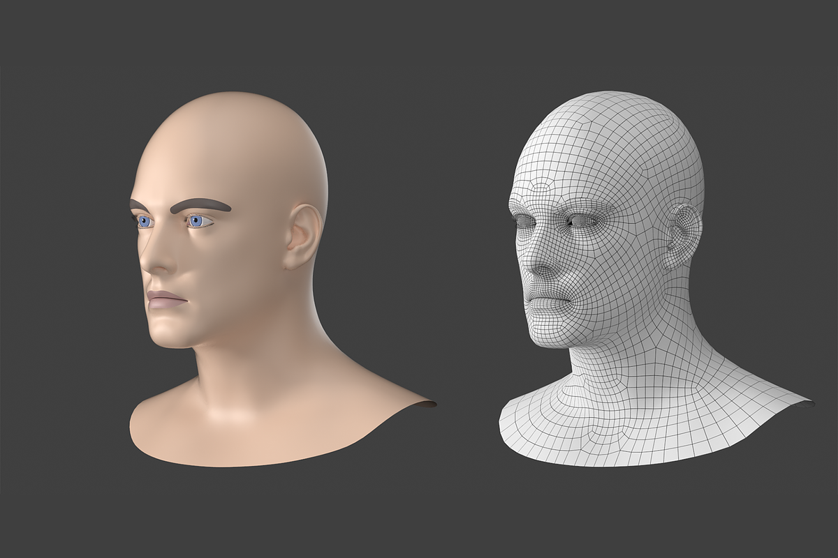 Natural Male Head 01 Generic Mesh, a Characters & Person 3D Model by VK Studio (Photo 12 of 29)