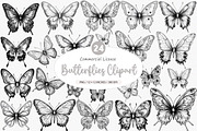 Butterflies Clipart PNG, an Illustration by SinaCreation (Thumbnail 1 of 5)