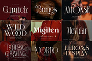 100+ Premium Serif Font Bundle, a Serif Font by Graphicxell (Thumbnail 2 of 12)
