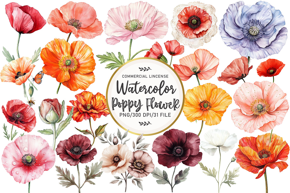 Watercolor Poppy Flower Clipart, an Illustration by OK Design (Photo 1 of 5)