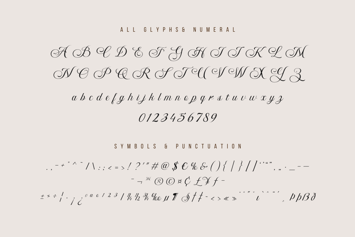 Bidena | Script Font, a Script Font by twinstd (Photo 9 of 11)