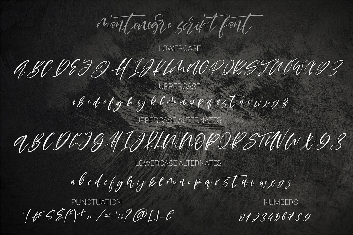 Montenegro.Textured script font, a Script Font by CallMeStasia (Photo 17 of 19)