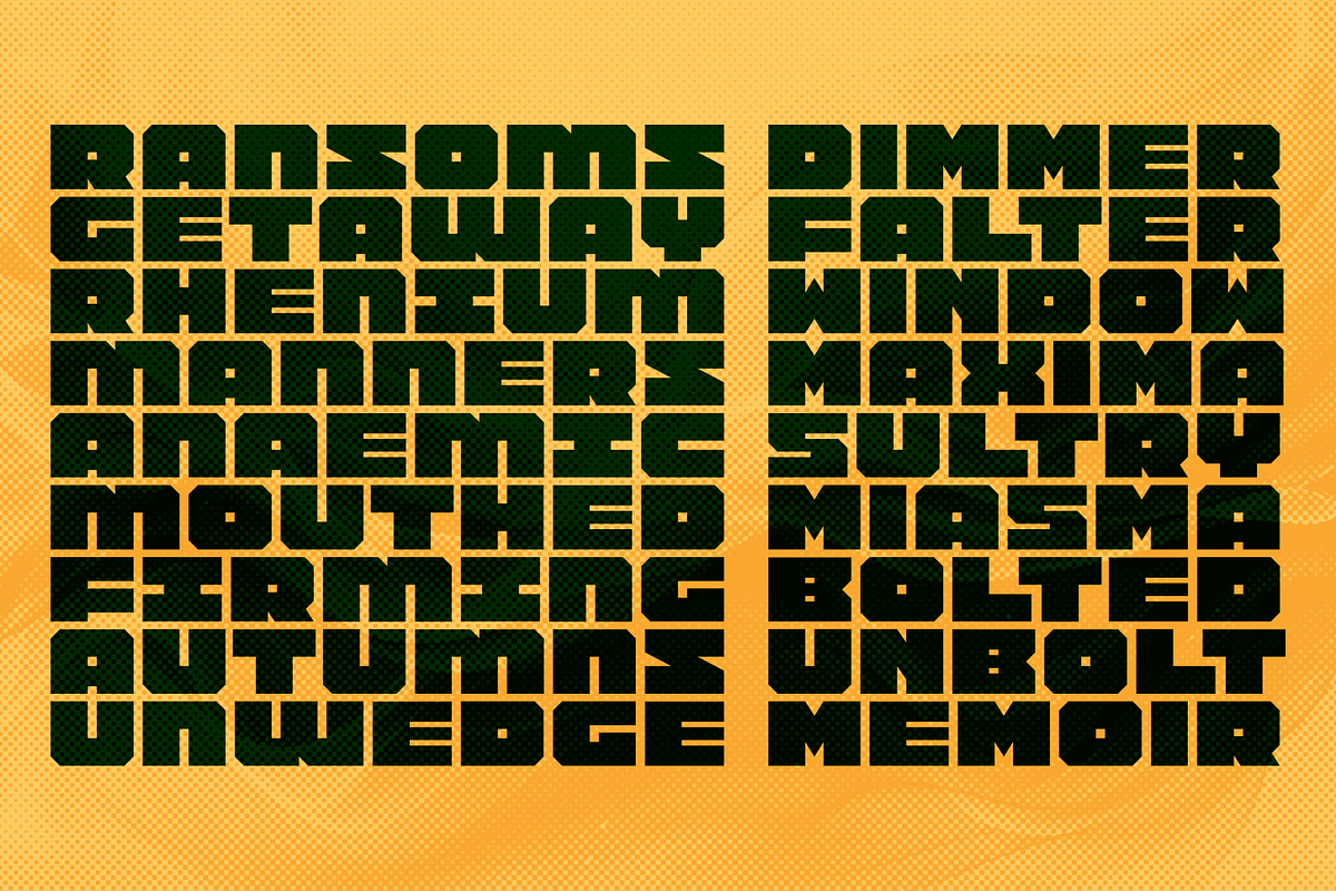 Fierd Font Duo, a Sans Serif Font by Locomotype (Photo 7 of 10)