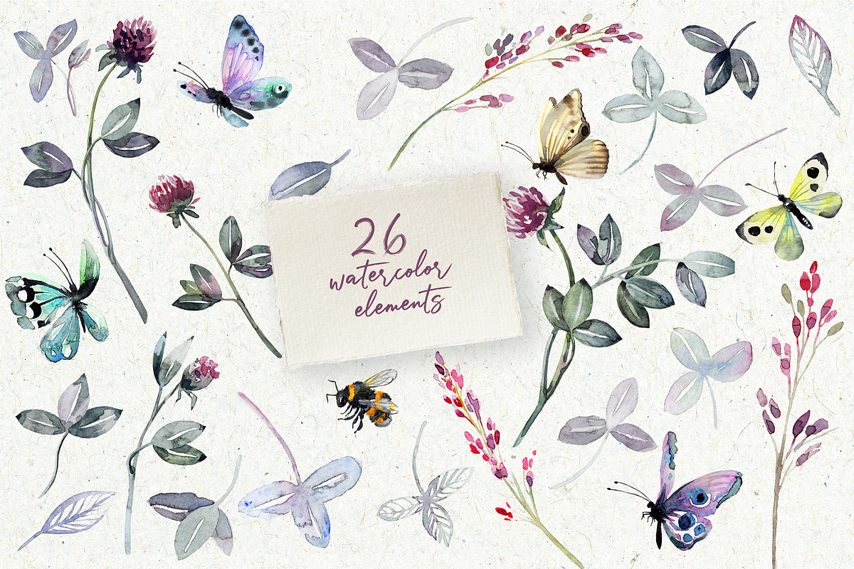 Watercolor set flowers of clover, an Illustration by RushkinaAntonina (Photo 6 of 7)
