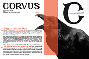 CORVUS Serif font, a Serif Font by Artistic & Unique (Thumbnail 10 of 15)