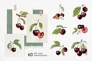 Cherry Watercolor Illustrations, a Food Illustration by Fedulova Art (Thumbnail 3 of 13)