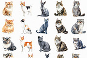 Watercolor Cats Clipart Pack (PNG), an Animal Illustration by DesignBTF (Thumbnail 5 of 8)