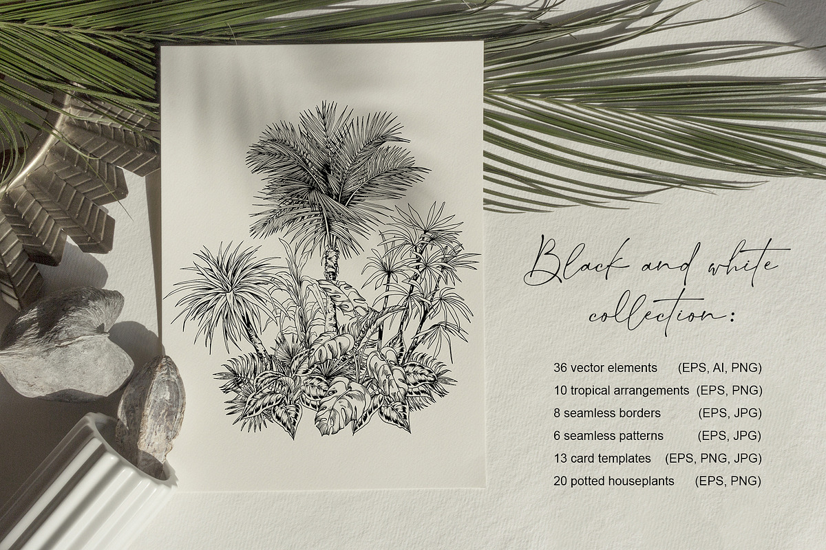 Tropical black& white plants, a Decorative Illustration by Jeanna Draw (Photo 3 of 17)
