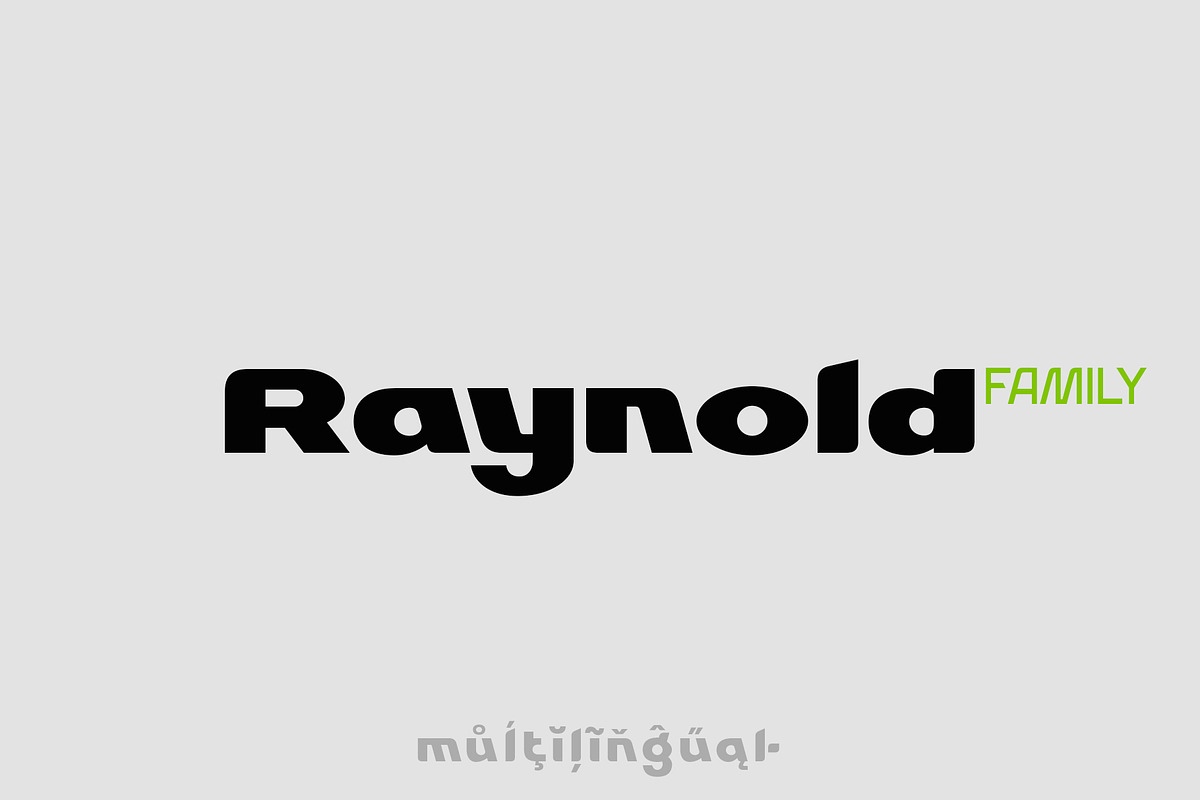 Raynold, a Sans Serif Font by Sentavio (Photo 1 of 8)