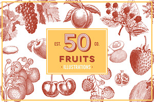 Fruits Vintage Illustrations