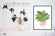 House Plants Collection, a Graphic by SmallHouseBigPony (Thumbnail 7 of 18)