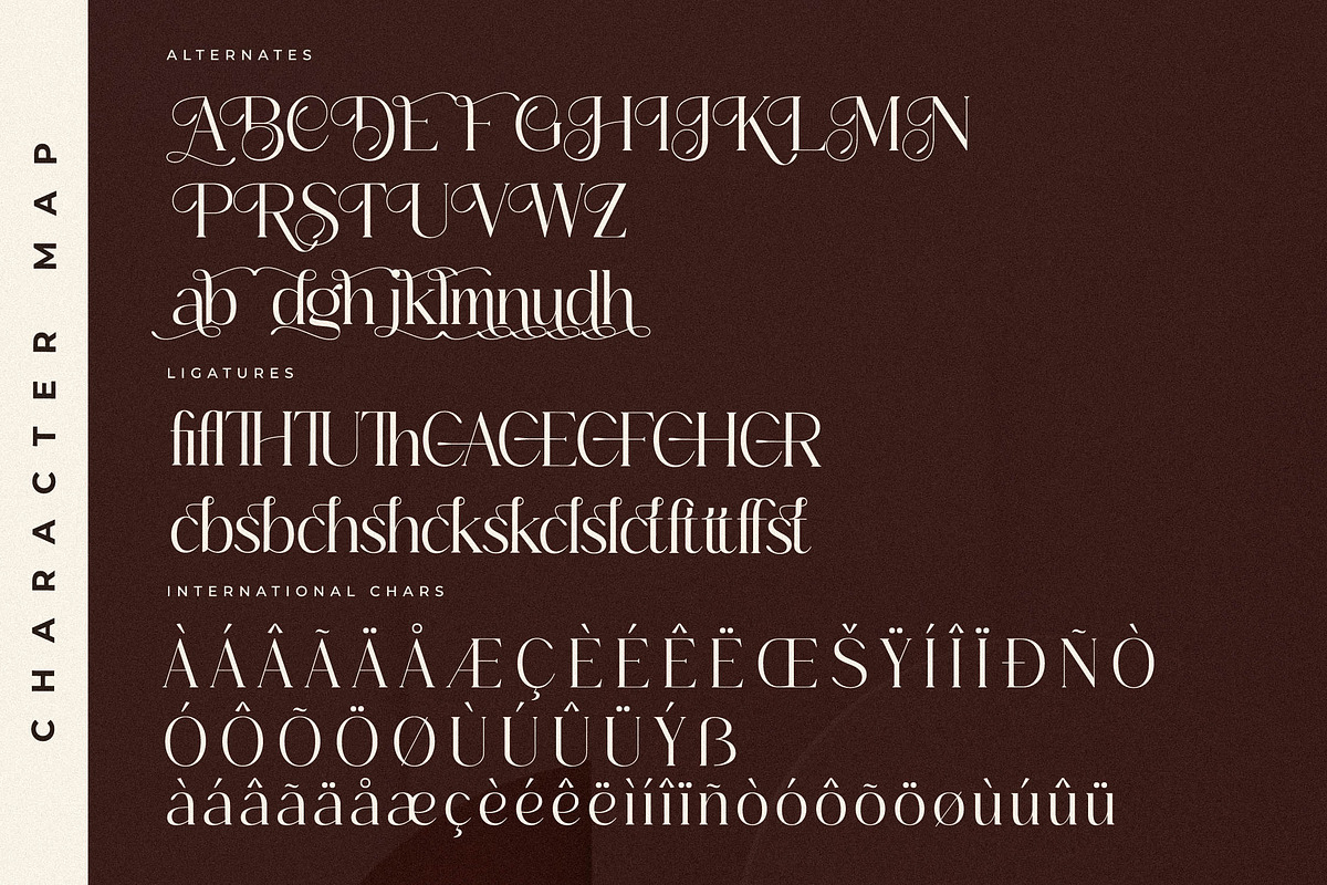 Holmesh A New Modern Serif, a Serif Font by Storytype Studio (Photo 14 of 15)