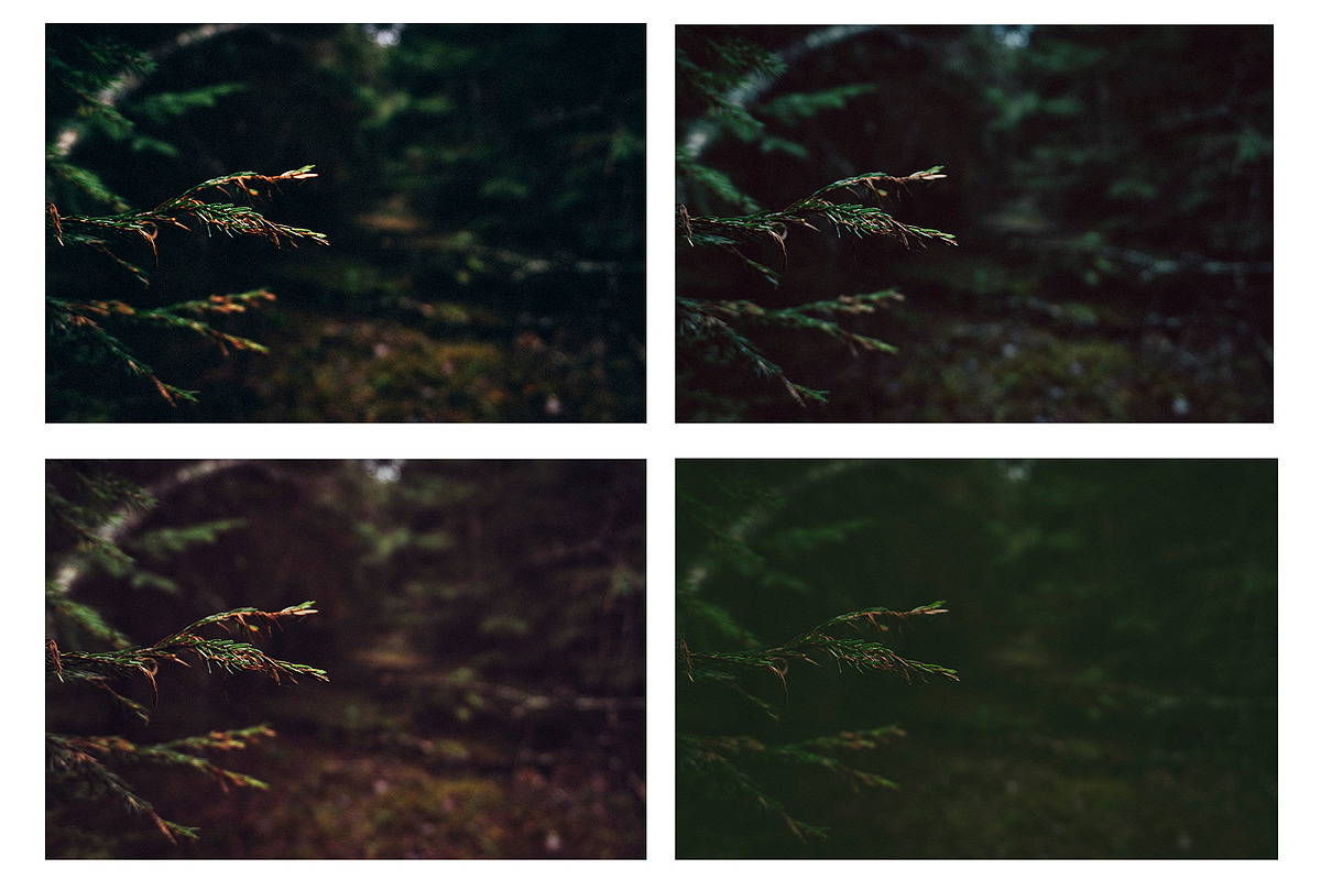 5 VINTAGE LIGHTROOM PRESETS preview 8