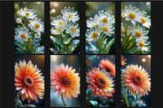 28 Crystal Flower Wallpapers, a Photo by GeoWander (Thumbnail 2 of 5)