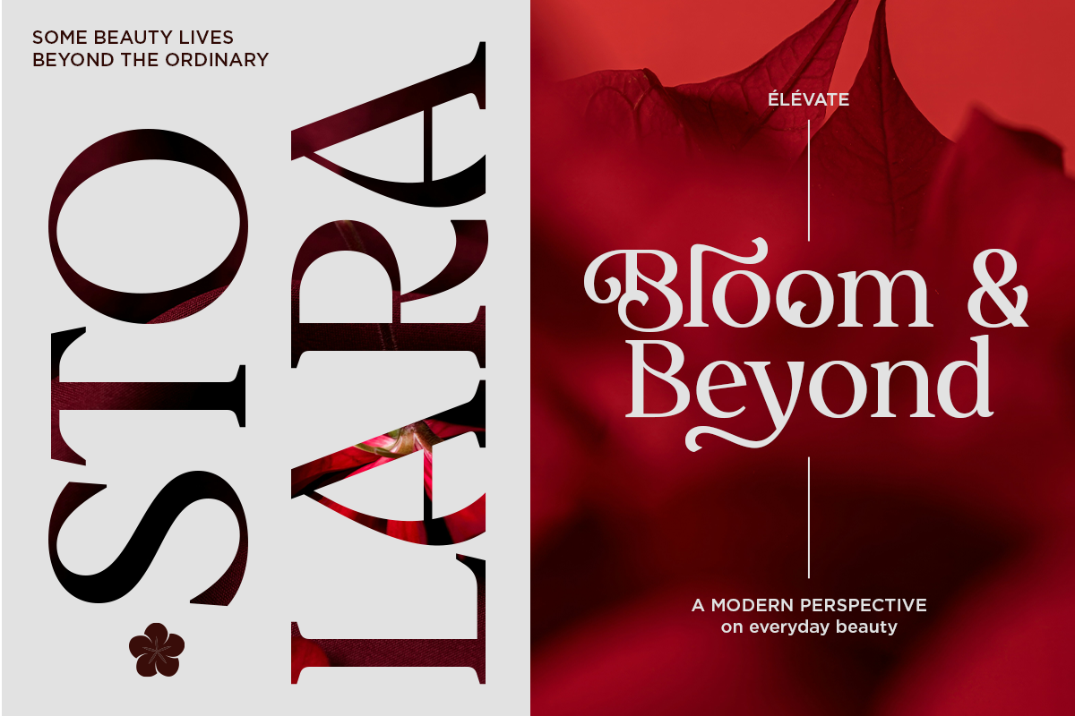 Delvira - Stylish Elegant Serif Font, a Serif Font by Font Liner (Photo 3 of 10)